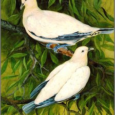 Схема вышивки «№164073»