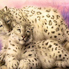 Схема вышивки «Кошки»