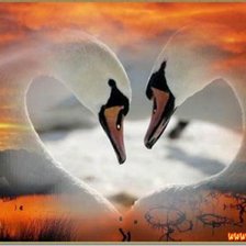 Схема вышивки «№164172»