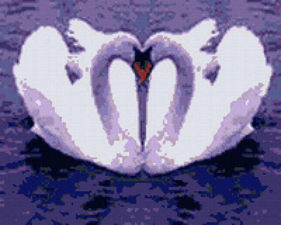 лебеди - лебеди, нежность, любовь - предпросмотр