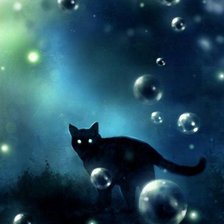 Схема вышивки «Картинка из сери "BLACK  KAT"»