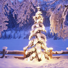 Схема вышивки «Зимняя сказка»