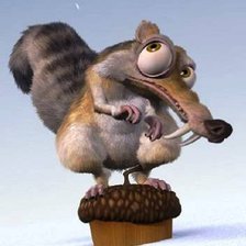 Схема вышивки «белка»