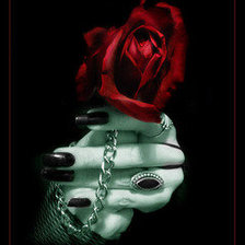 Схема вышивки «Роза»