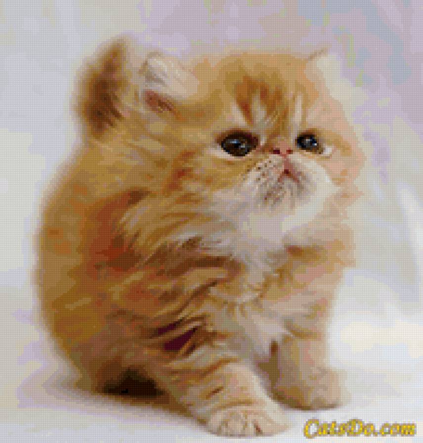 милашка - кошка - предпросмотр