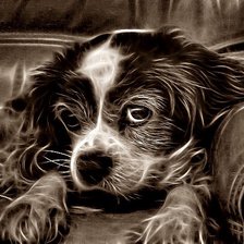 Схема вышивки «№164806»