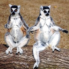 Схема вышивки «№164868»