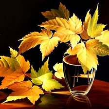 Схема вышивки «№164891»