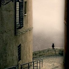 Схема вышивки «№164899»