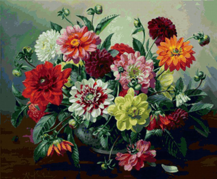 георгины - георгины - предпросмотр