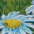 Предпросмотр схемы вышивки «ромашки» (№164990)