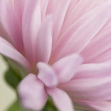 Схема вышивки «цветок»