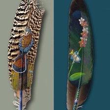 Схема вышивки «Перья»