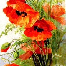 Схема вышивки «маки»