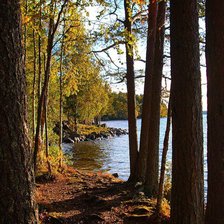 Схема вышивки «озеро»