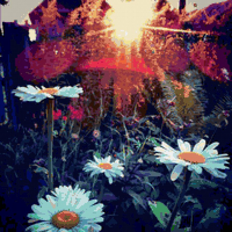 ромашки - предпросмотр