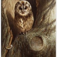 Схема вышивки «№165395»