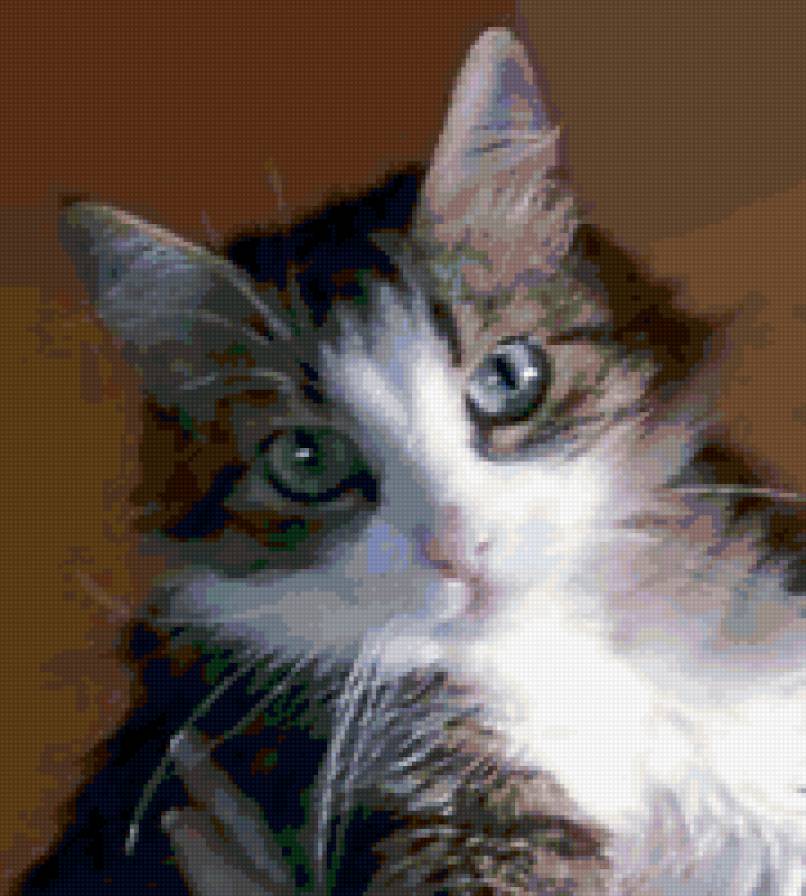 Кошка Марфа - животные, кошка - предпросмотр