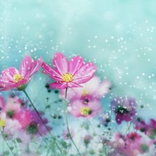 Схема вышивки «цветы»