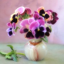 фиалки в вазе