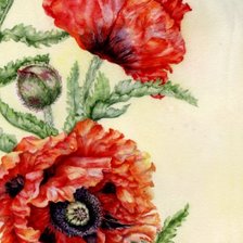 Схема вышивки «маки»