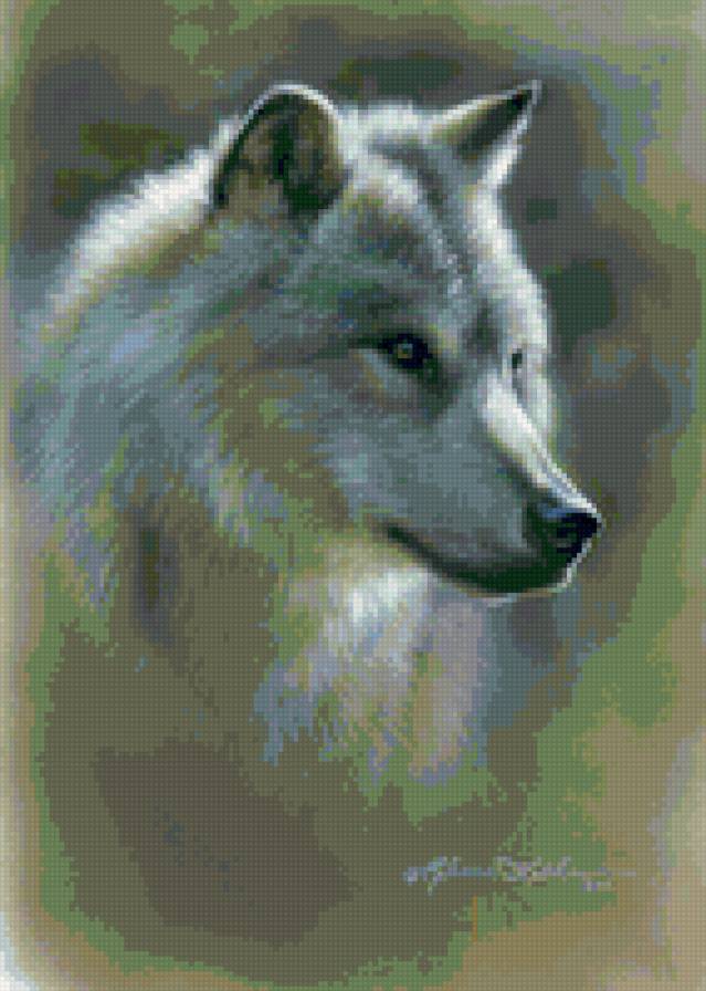 Волк - животные, волки - предпросмотр