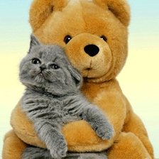 Схема вышивки «Котенок»