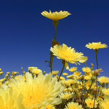 Летние мотивы