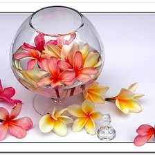 Схема вышивки «618»