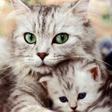 Схема вышивки «Материнство»