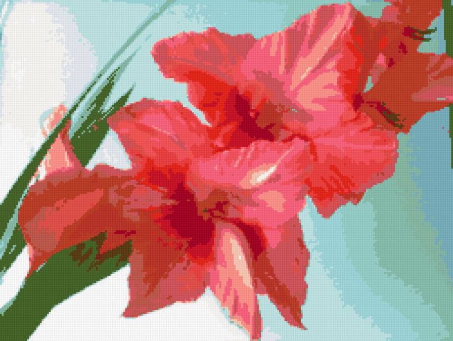 Веточка Гладиолуса - предпросмотр