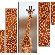 Схема вышивки «№166181»