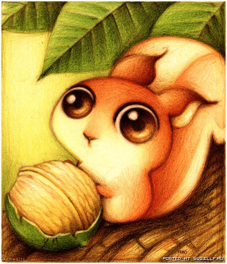 Зверик 3 - детям, мультик, белочка - оригинал