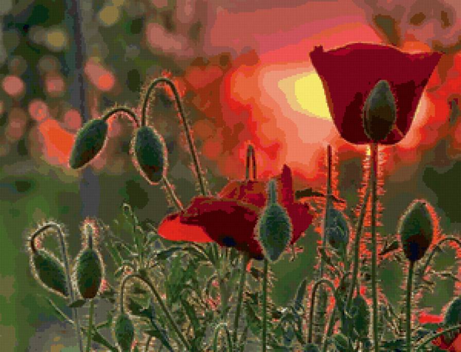 №166325 - предпросмотр