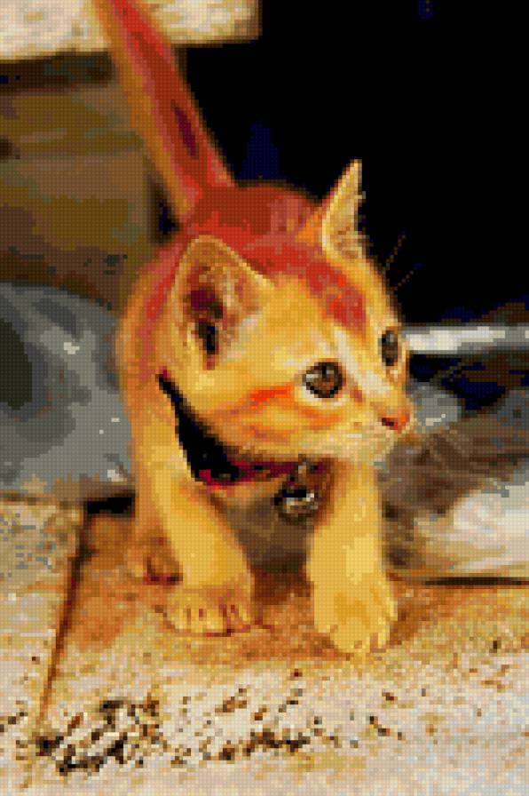 Котенок - животные, кошки - предпросмотр