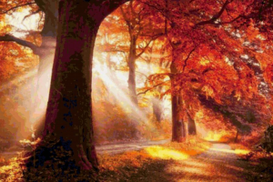 Золотая осень - осень, природа - предпросмотр