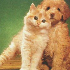 Схема вышивки «Друзья»