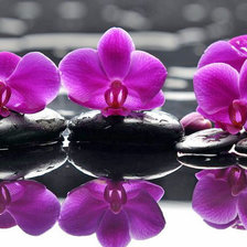 Схема вышивки «№166447»