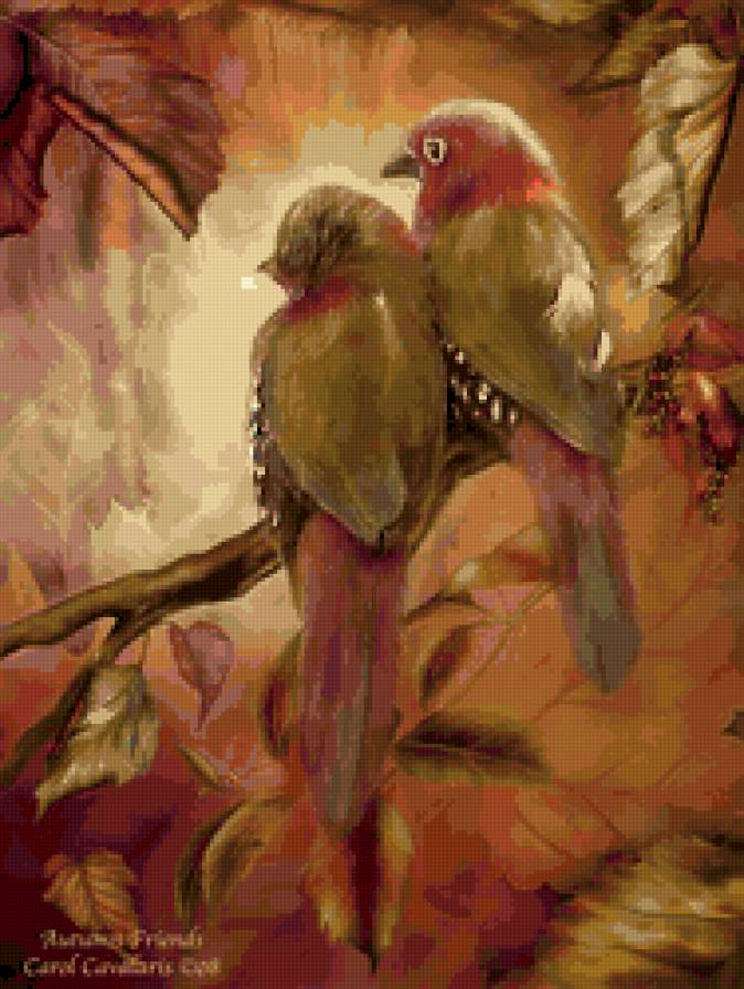 birds - предпросмотр