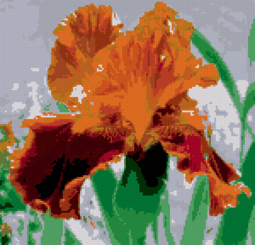 Ирис - цветы - предпросмотр