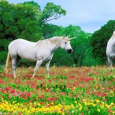 Схема вышивки «№166655»