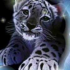 Схема вышивки «альбинос»