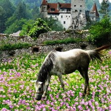 Схема вышивки «№166689»