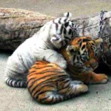 Схема вышивки «тигрята»