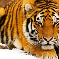 Схема вышивки «№166719»