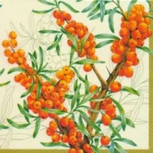 Схема вышивки «Подушка»