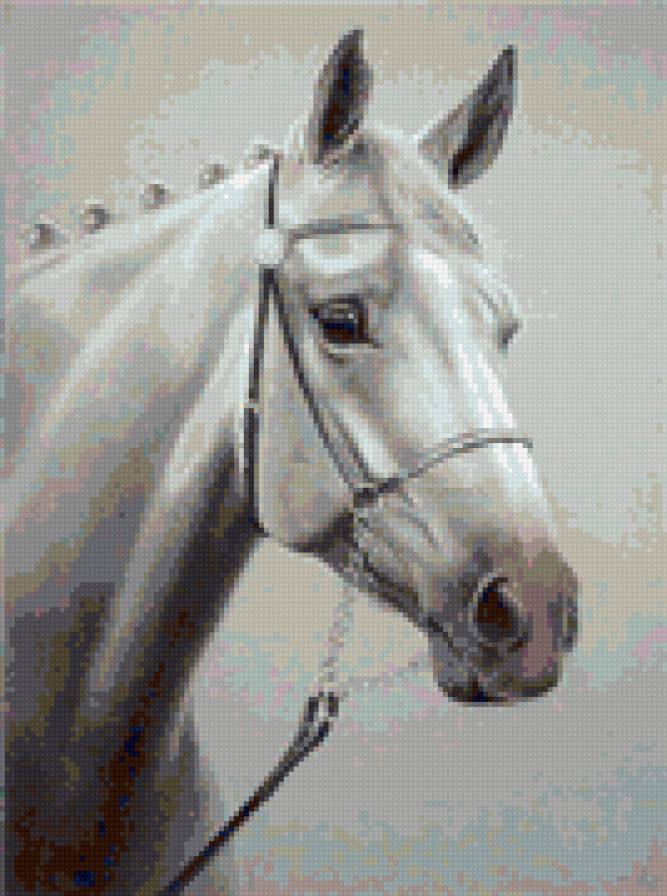 Белая лошадь - животные.фауна.лошадь - предпросмотр