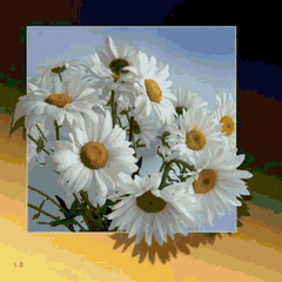 Ромашки в рамке - ромашки, цветы, природа, флора.подушка - предпросмотр