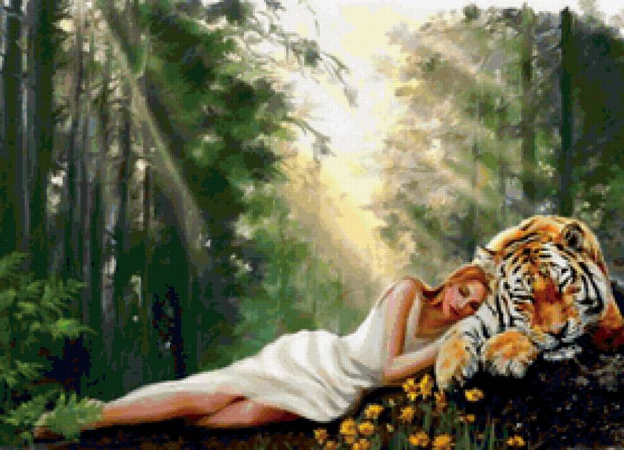 девушка и тигр - тигр, девушка, любовь, пара - предпросмотр