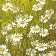 Схема вышивки «Ромашковое поле»